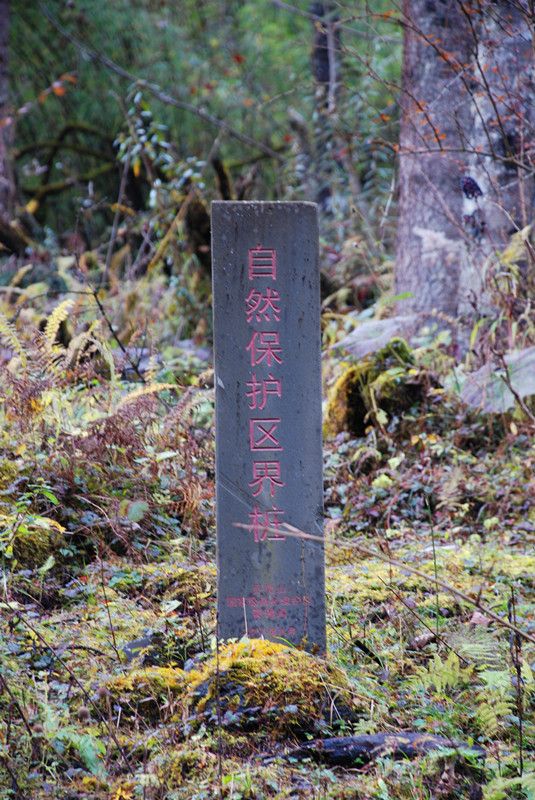 天津今日清晨飘起小雪花，不禁突然让我倍感怀念老师和贡嘎神山！ - 学艺网 - 原来的保护区石碑