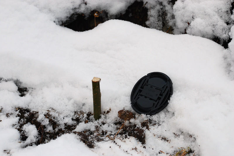 天津今日清晨飘起小雪花，不禁突然让我倍感怀念老师和贡嘎神山！ - 学艺网 - 植树